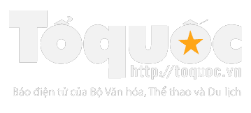 /logo/toquoc.png
