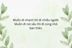 Câu nói hay cho tình yêu và tình bạn.