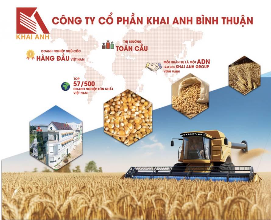 CÔNG TY CỔ PHẦN KHAI ANH BÌNH THUẬN