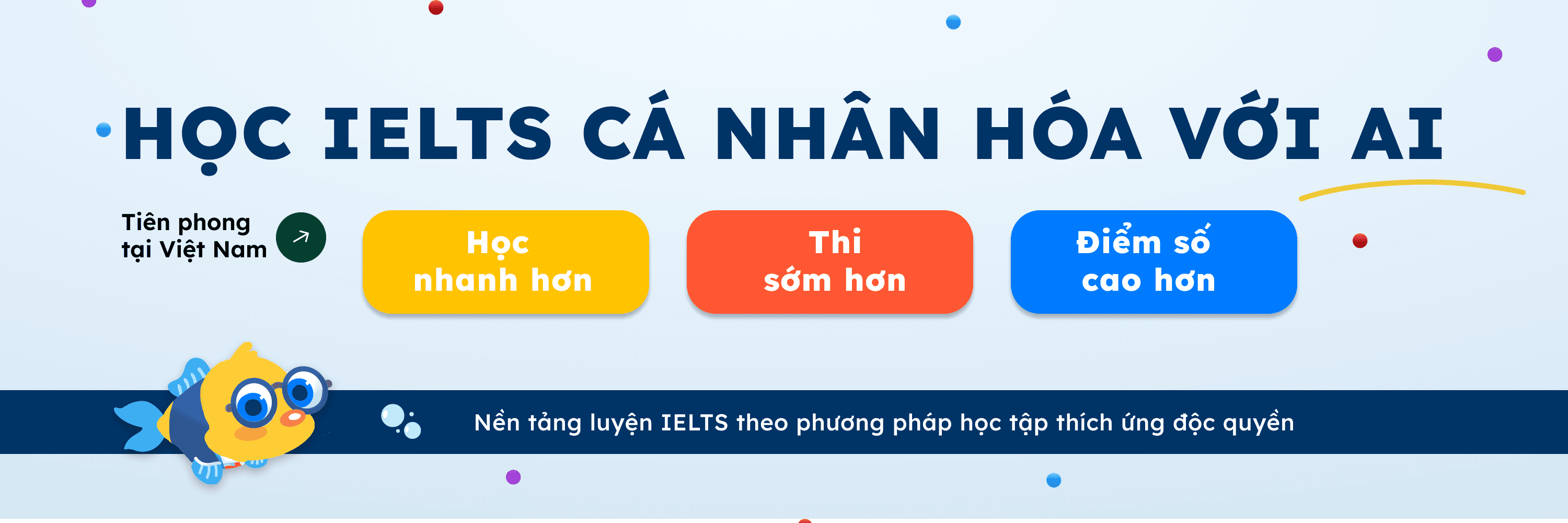 CÔNG TY TNHH DỊCH VỤ CÔNG NGHỆ THÔNG TIN HOÀNG HUY