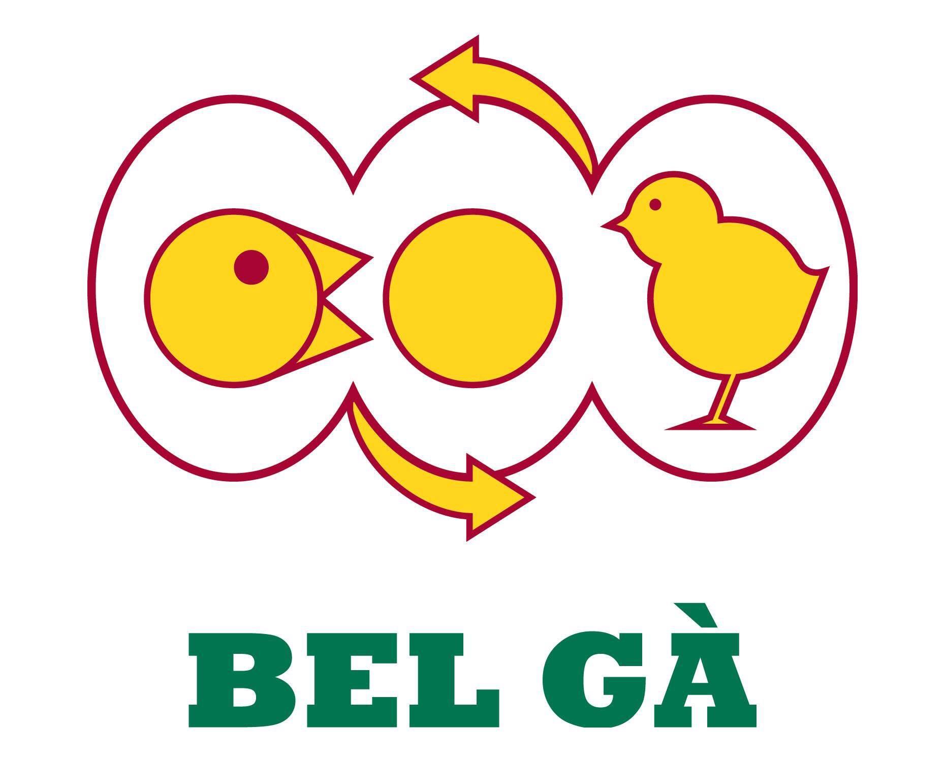 Bel Gà Việt Nam - Công Ty TNHH BDH Việt Nam