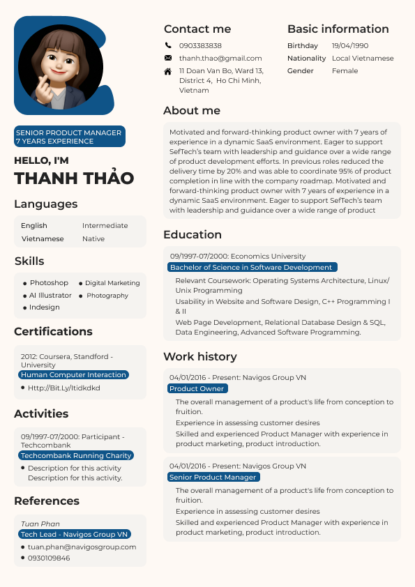 Classic CV template 27