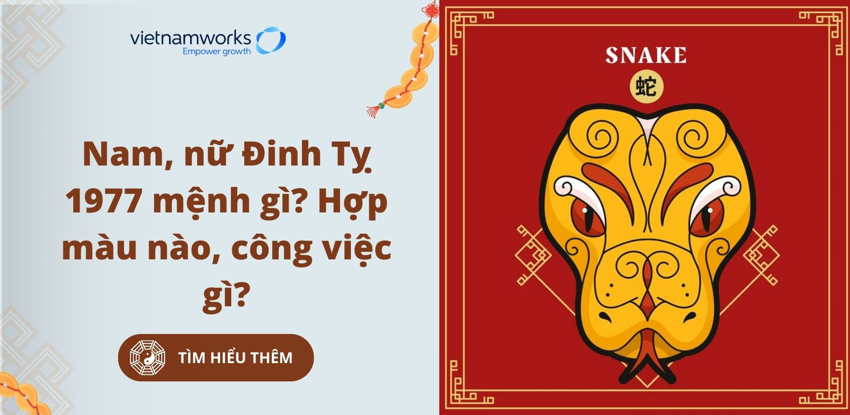 Đinh Tỵ mệnh gì? Khám phá bí mật vận mệnh, màu sắc may mắn và hướng phát triển trong cuộc sống