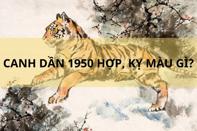 Tuổi Canh Dần 1950 không hợp và hợp màu nào?