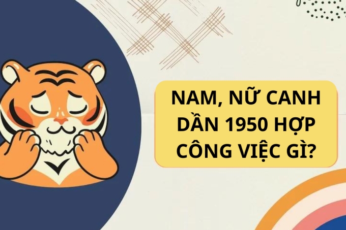 Nghề nghiệp phù hợp với Canh Dần 1950