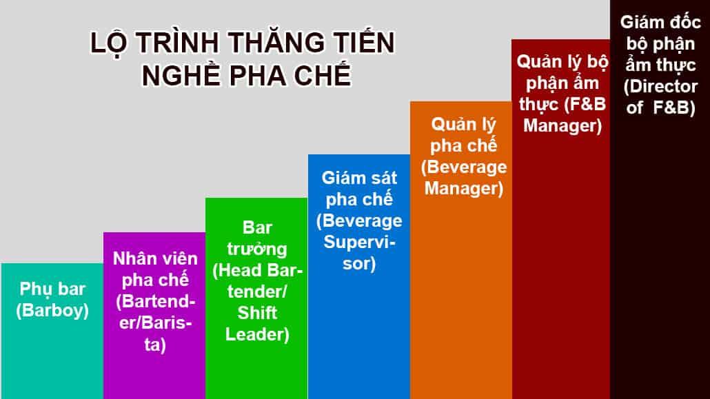 Lộ trình thăng tiến của bartender (Nguồn: Internet)