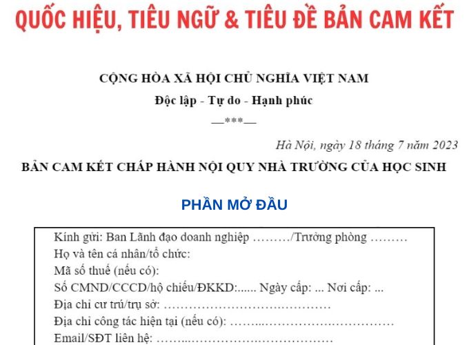 Hướng dẫn cách sắp xếp bố cục của bản cam kết