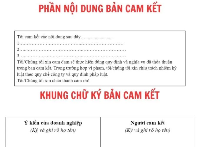 Phần nội dung và khung chữ ký bản cam kết