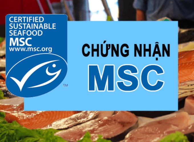 MSC là gì? Lợi ích của doanh nghiệp khi đạt chứng nhận MSC