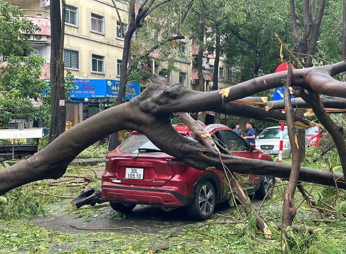 Hậu quả của bão Yagi để lại khi đổ bộ đất liền